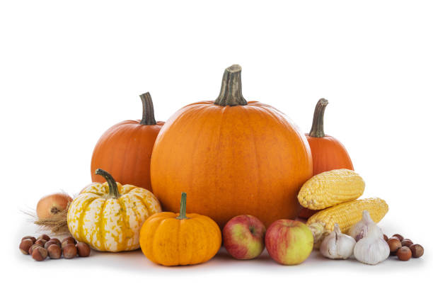 istock Autumn harvest on white 1046925460