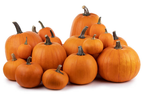 istock Heap of orange pumpkins 1046925494