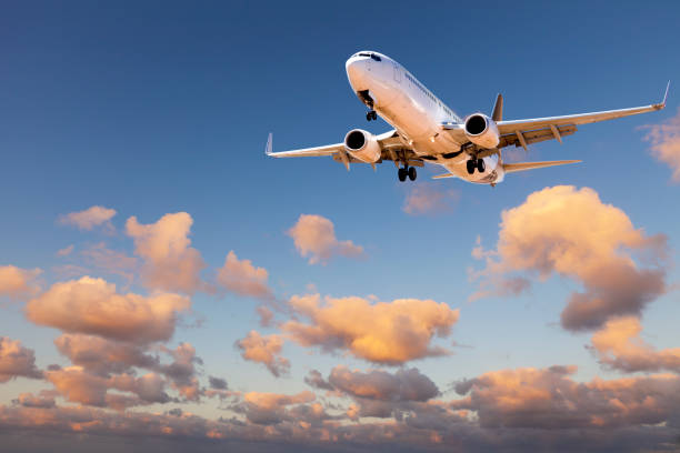 istock Airplane Landing at Sunset 1046931980