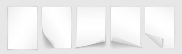 ilustraciones, imágenes clip art, dibujos animados e iconos de stock de espacio en blanco hoja a4 de papel blanco, con esquina rizado y la sombra, plantilla para tu diseño. conjunto. ilustración de vector - papel ilustraciones