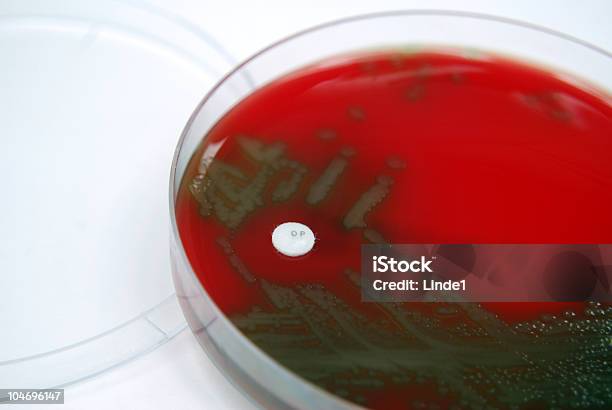 Streppneumoniae 敏感に Optochin - シャーレのストックフォトや画像を多数ご用意 - シャーレ, バクテリア, 分析する
