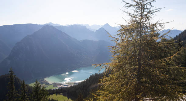 European alps panorama in summer