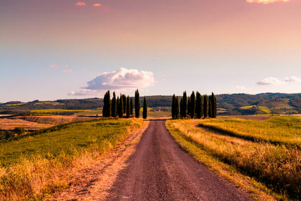 istock Landscape of Castiglione d'Orcia. 1046964678