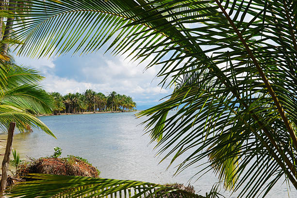 istock Beach framed by palm trees in Bocas del Toro, Panama 104696559