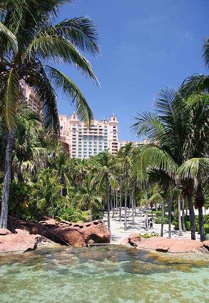 istock Tropical Hotel Resort  104696800