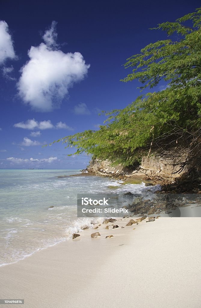 Caribbean Beach - Foto de stock de Antígua - Antígua e Barbuda royalty-free