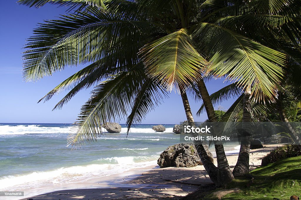 Sombra na praia - Foto de stock de Areia royalty-free
