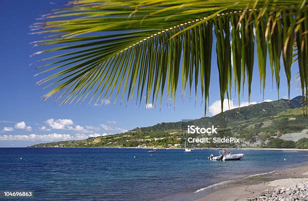 카리브해 플라주 고요한 장면에 대한 스톡 사진 및 기타 이미지 - 고요한 장면, 구름, 나무