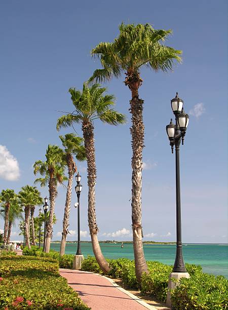 istock Caribbean Promenade 104696989
