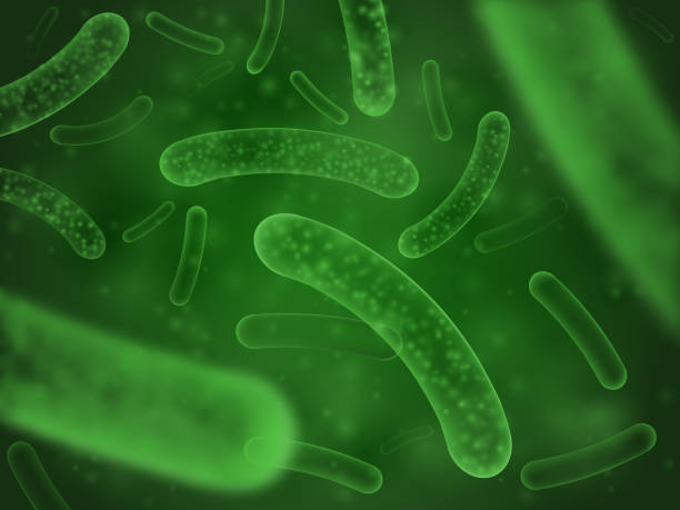 Bacteria biological concept. Micro probiotic lactobacillus green scientific abstract background Bacteria biological concept. Micro probiotic lactobacillus green microorganism or ebola microscopic influenza cell, biology micro probiotics hiv virus. Salmonella scientific abstract background lactobacillus stock illustrations