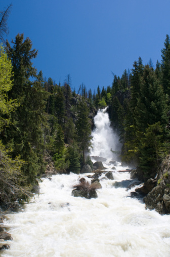 The chute at Egan Chutes Provincial Park in Ontario rushes its way through a forested river.