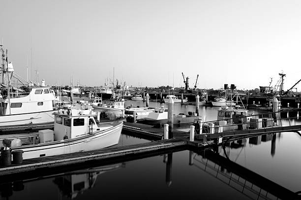 istock Marina in Black and White 104699195