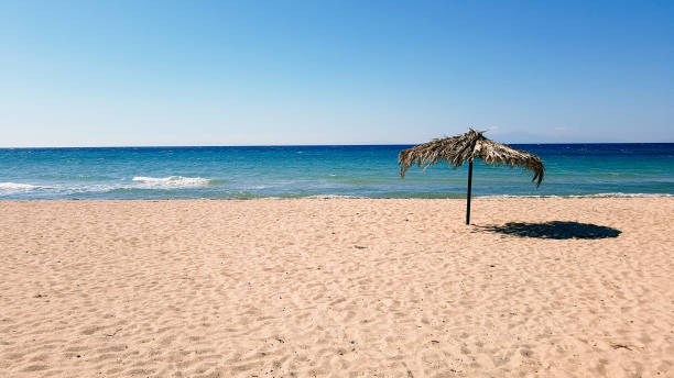 parasol solitário na praia - mobilestock freedom enjoyment blue - fotografias e filmes do acervo