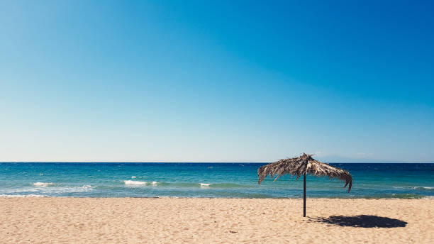 lone parasol sur la plage - mobilestock freedom enjoyment blue photos et images de collection