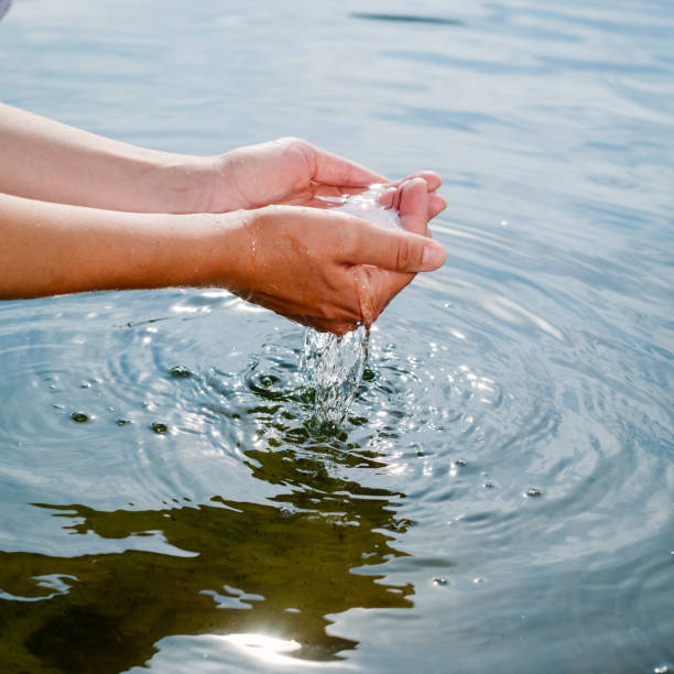 istock Person taking raw unfiltered water from a lake by hands 1047010020