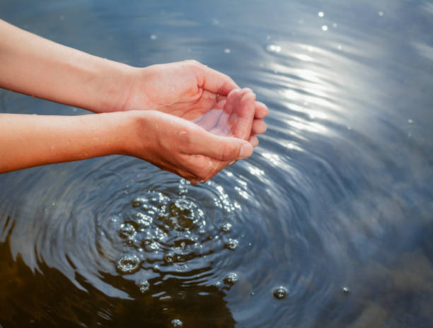 istock Person taking raw unfiltered water from a lake by hands 1047010026