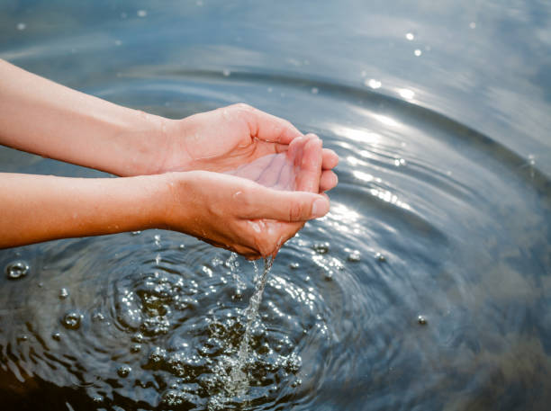 istock Person taking raw unfiltered water from a lake by hands 1047010036