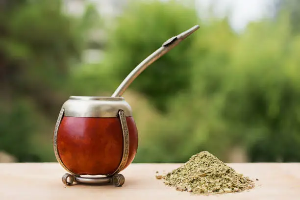 Photo of mate, mate grass (yerba mate) with trees in the background