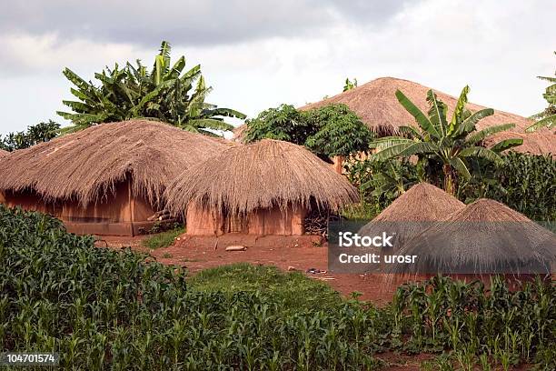 Villaggio Tribale In Malawi - Fotografie stock e altre immagini di Capanna di fango - Capanna di fango, Repubblica del Malawi, Fattoria