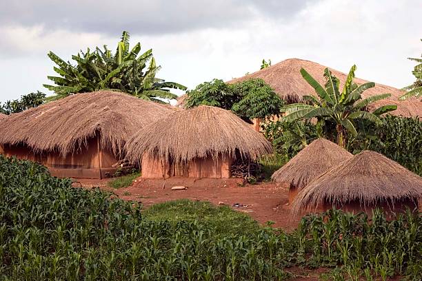 istock Tribal Village in Malawi 104701574