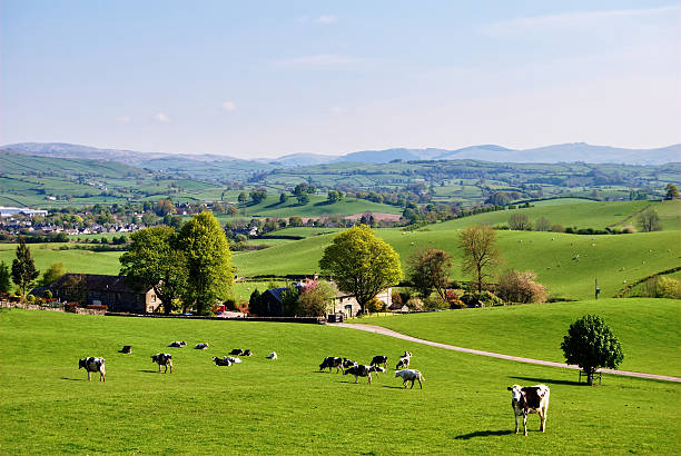 English field in Spring stock photo