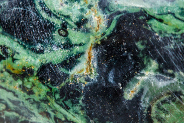 Macro mineral stone jasper kambaba on a white background