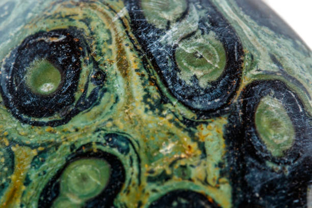istock Macro mineral stone jasper kambaba on a white background 1047017474