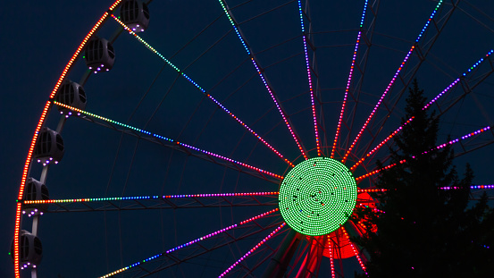 Colourful ferris wheel on a dark blue background and with a tree in the front of, in the central attraction park of Saint-Petersburg