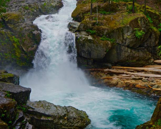 silver falls zen - ohanapecosh river imagens e fotografias de stock