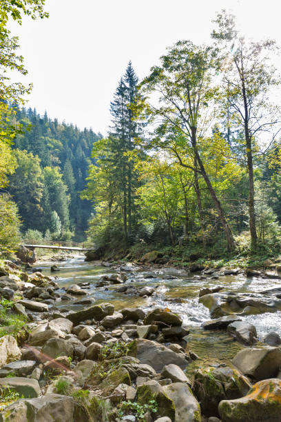 istock Mountain river Prutet landscape in Carpathians, Ukraine. 1047020678