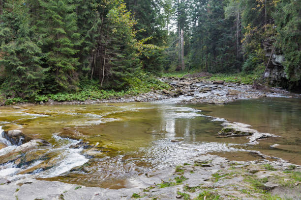 istock Waterfall Chemigivsky landscape in Carpathians, Ukraine. 1047020746