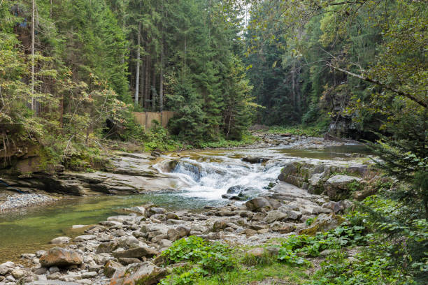 istock Waterfall Chemigivsky landscape in Carpathians, Ukraine. 1047020764