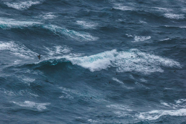 istock dramatic shot of bird flying over wavy blue ocean 1047024388