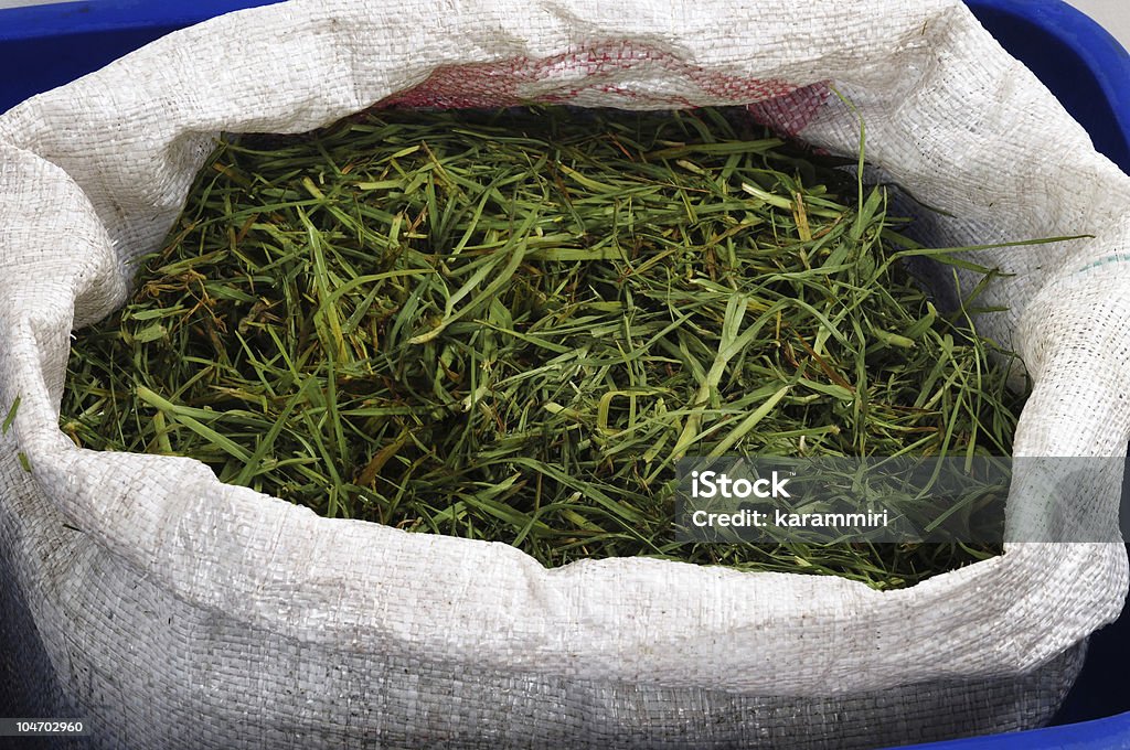 Grass compost.  Bag Stock Photo