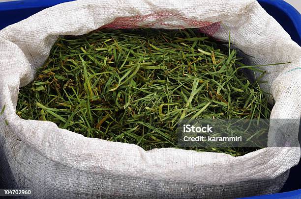 Grass Compost Stock Photo - Download Image Now - Bag, Blade of Grass, Color Image