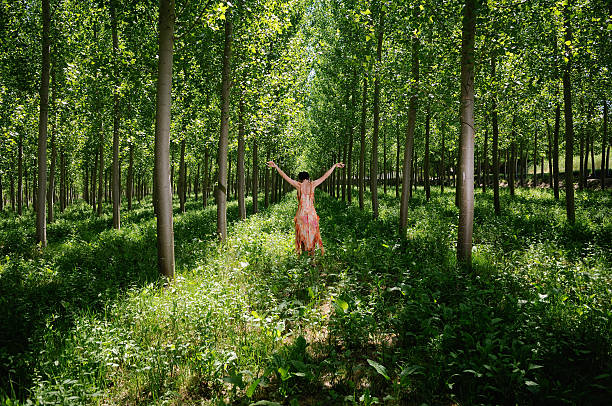 istock Beauty in the forest 104703393