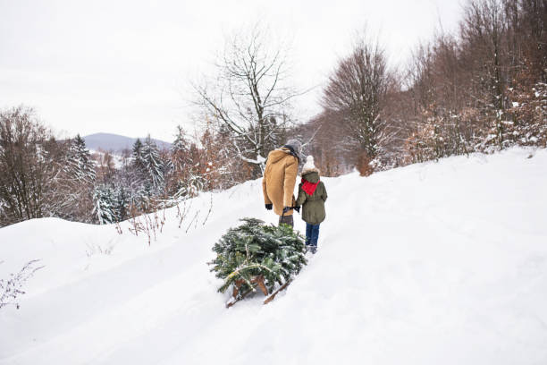 istock Grandfather and small girl getting a Christmas tree in forest. 1047034700