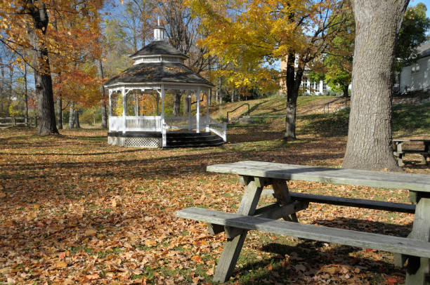 istock Autumn in Michigan 104704022