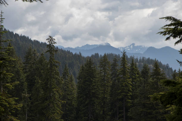 istock Mount Seymour Canadian Wilderness 1047042684