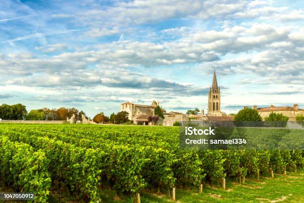 Vineyards Of Saint Emilion Bordeaux Vineyards In France Stock Photo - Download Image Now