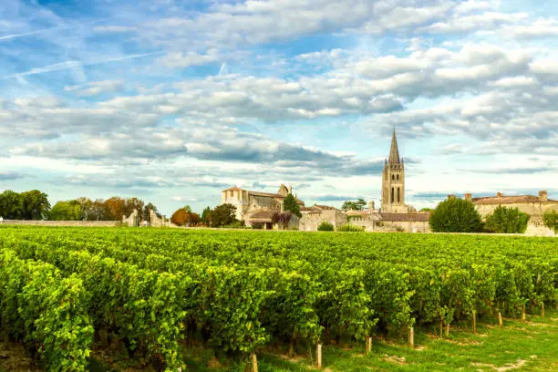 Photo of Vineyards of Saint Emilion, Bordeaux Vineyards in France