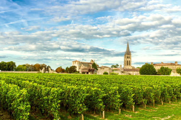 vineyards of saint emilion, bordeaux vineyards in france - france imagens e fotografias de stock
