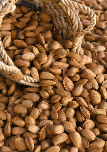 istock healthy organic almonds 1047050994
