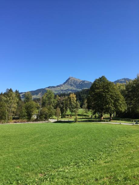istock Panoramic view of alpine landscape 1047051338