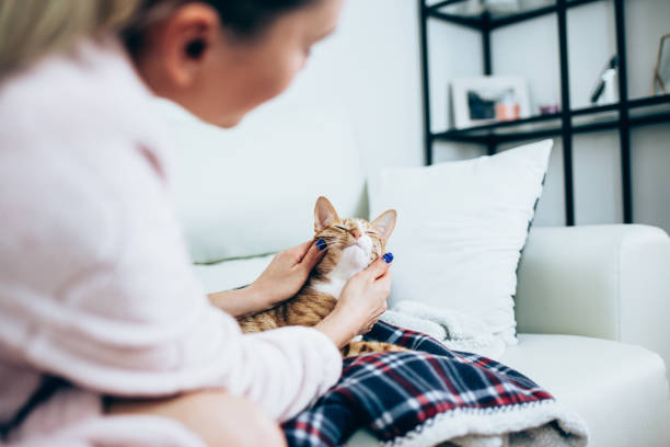 istock Woman with cat at home 1047054206