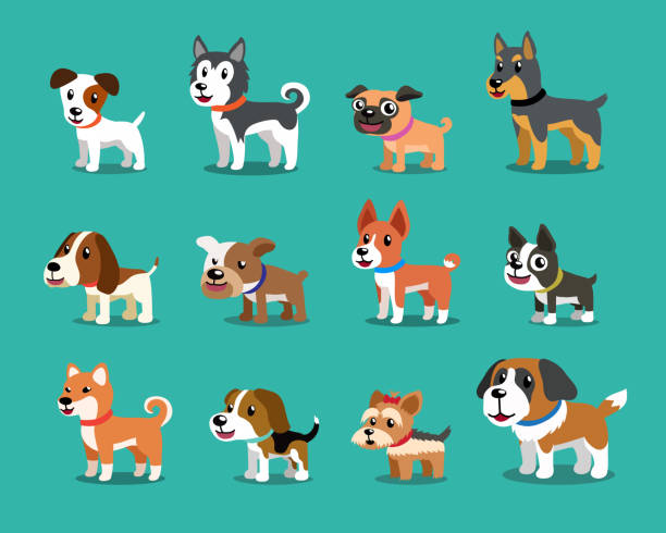 Different type of cartoon dogs Different type of cartoon dogs for design. white husky stock illustrations