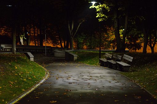 Path and wooden benches in a city park at night.
