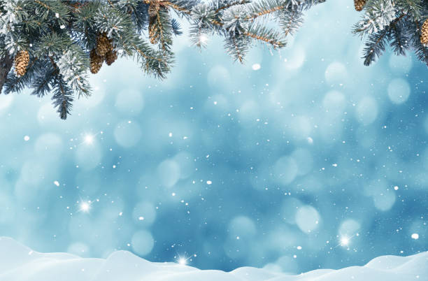 istock Christmas background with fir tree branch.Winter landscape 1047065944