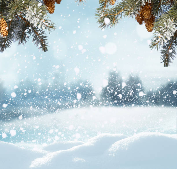 merry christmas and happy new year greeting background  .winter landscape with fir tree branch - landscape fir tree nature sunrise imagens e fotografias de stock