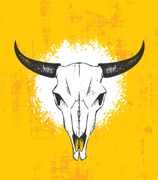 illustrations, cliparts, dessins animés et icônes de far west vache crâne rugueux vector illustration grunge textured fond - animal skull horned wild west skull